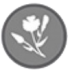 Lin